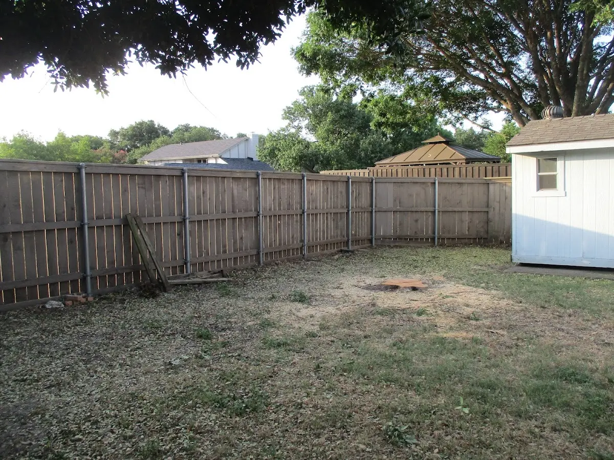 Cleared yard after professional tree removal in Wilbur